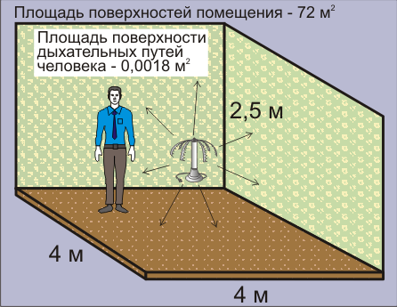 Сравнение размера площади помещения с размерами площади поверхности дыхательных путей человека. Сайт ионизаторы воздуха люстры Чижевского.